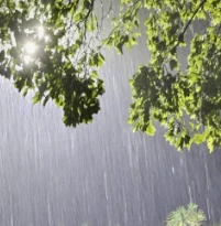 책담소 첨부 이미지