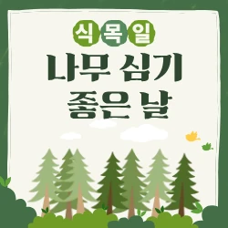 민둥산을 숲으로 만든 숨겨진 영웅, 현신규 박사