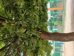 정신나간 인간의 일상